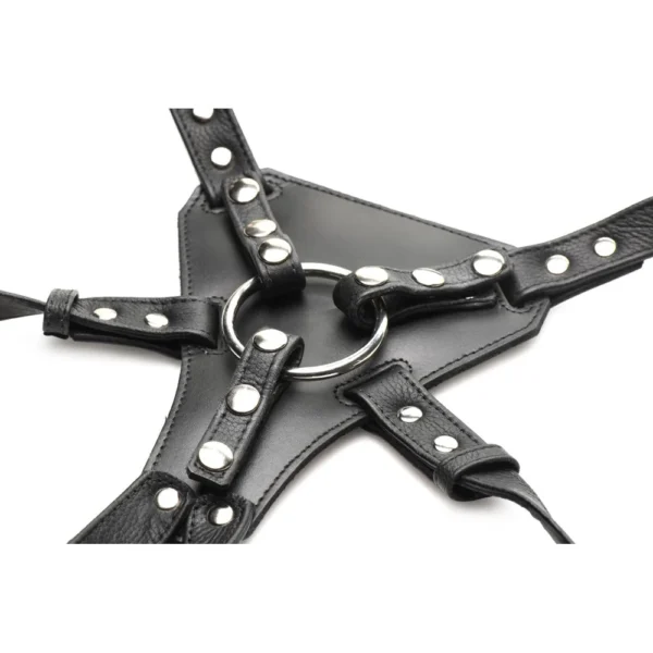 Leather Strap on Harness