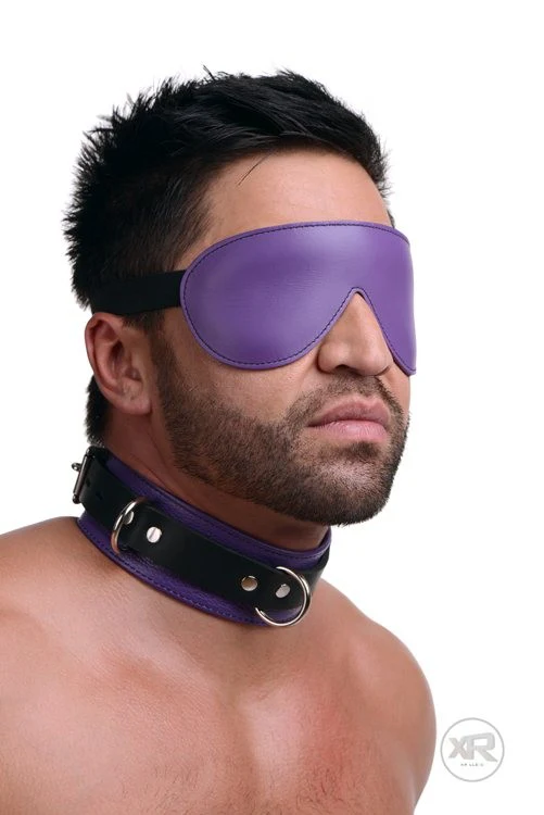 20e60f7e51478953a82b5e0444accaa3 Strict Leather Deluxe Black and Purple Locking Collar