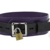 78960eeff25b5a35e2e1bfeb13a77e70 Strict Leather Deluxe Black and Purple Locking Collar