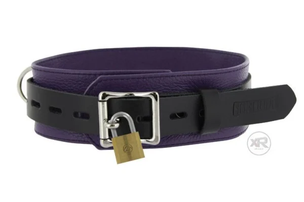 78960eeff25b5a35e2e1bfeb13a77e70 Strict Leather Deluxe Black and Purple Locking Collar