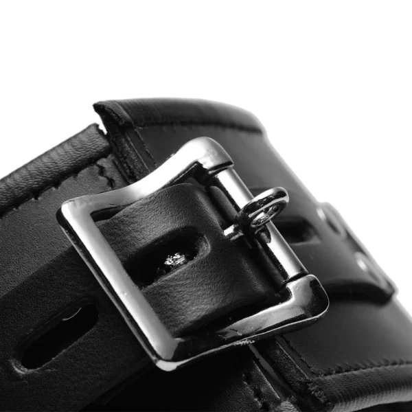 VF532_crop_1 Padded Leather Locking Posture Collar