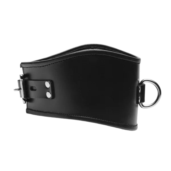 VF532_crop_3 Padded Leather Locking Posture Collar