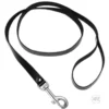 cbed517f07025f468c89490c95d37a96_52015e3b-3e75-4c08-8b07-718fa39b6b93 Sick Puppy Leash and Collar Set