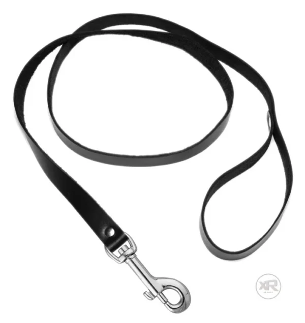 cbed517f07025f468c89490c95d37a96_52015e3b-3e75-4c08-8b07-718fa39b6b93 Sick Puppy Leash and Collar Set