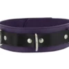 eb22995937cf1134eab4903f6570c038 Strict Leather Deluxe Black and Purple Locking Collar